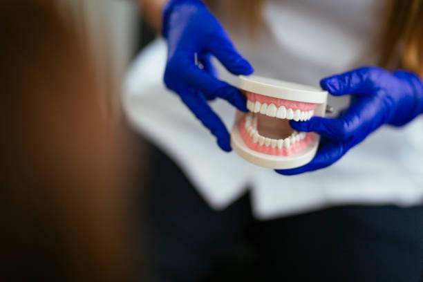 Trusted Oquawka, IL Dental Services Experts